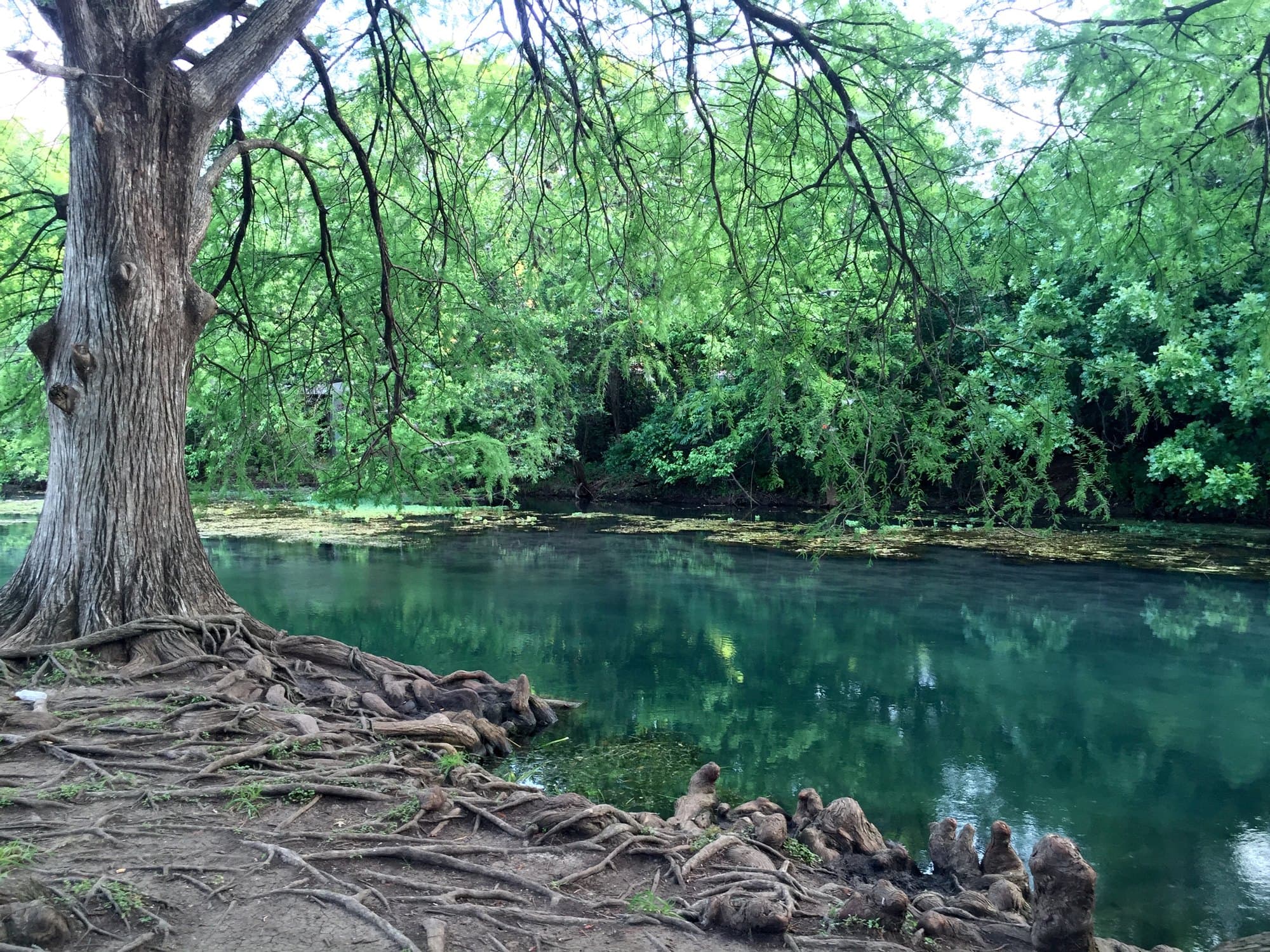 San Marcos River
